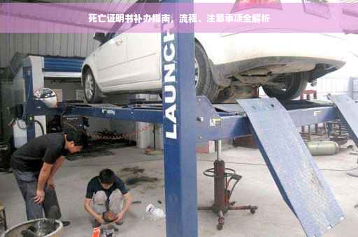 死亡证明书补办指南，流程、注意事项全解析