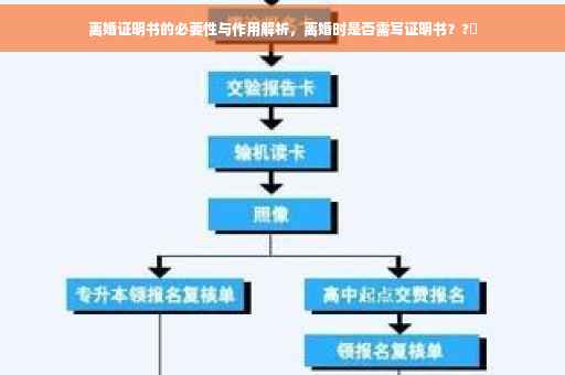 离婚证明书的必要性与作用解析，离婚时是否需写证明书？?✨