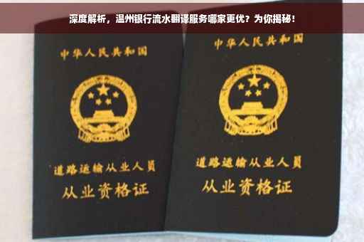深度解析，温州银行流水翻译服务哪家更优？为你揭秘！