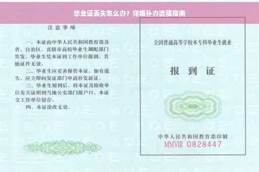毕业证丢失怎么办？详细补办流程指南