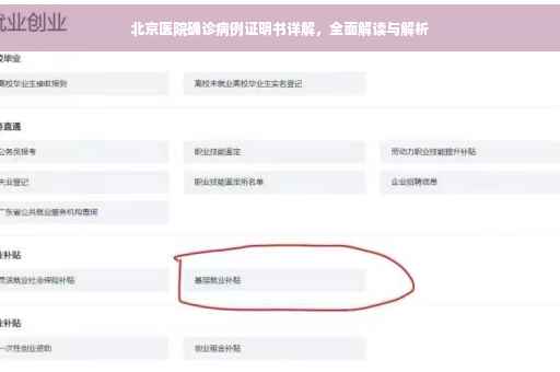北京医院确诊病例证明书详解，全面解读与解析