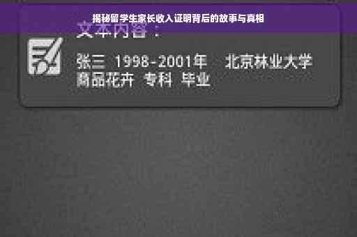 揭秘留学生家长收入证明背后的故事与真相