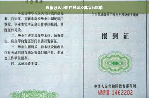 虚假收入证明的危害及其深远影响