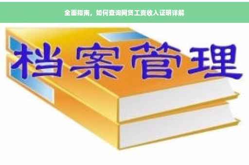 全面指南，如何查询网贷工资收入证明详解