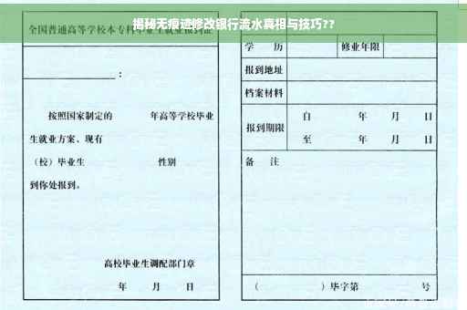 揭秘无痕迹修改银行流水真相与技巧??