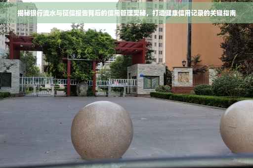 揭秘银行流水与征信报告背后的信用管理奥秘，打造健康信用记录的关键指南