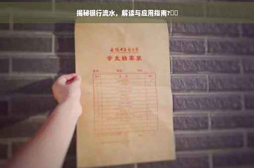 揭秘银行流水，解读与应用指南?⚡️