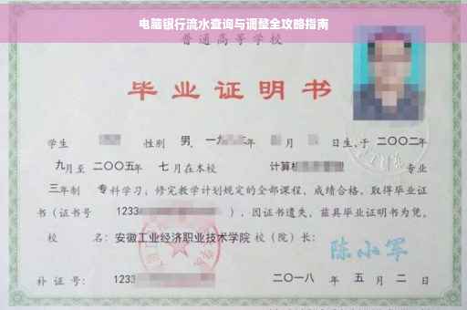 电脑银行流水查询与调整全攻略指南