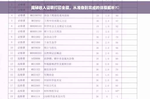 揭秘收入证明打印全程，从准备到完成的详细解析?✨