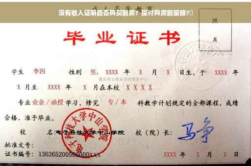 没有收入证明能否购买新房？探讨购房新策略?✨