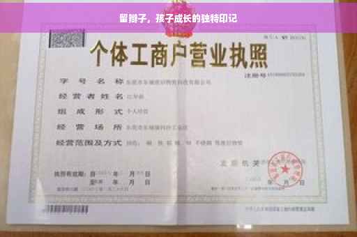 留辫子，孩子成长的独特印记
