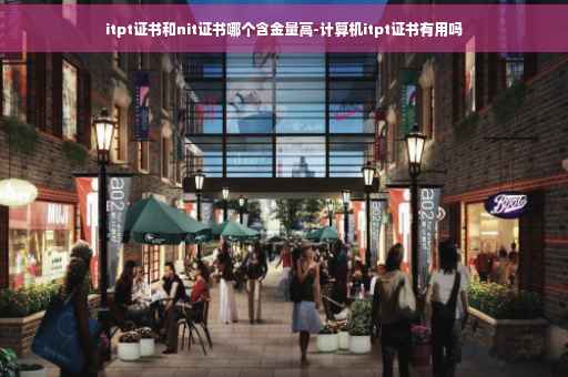 itpt证书和nit证书哪个含金量高-计算机itpt证书有用吗