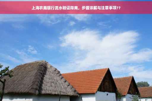 上海农商银行流水验证指南，步骤详解与注意事项??