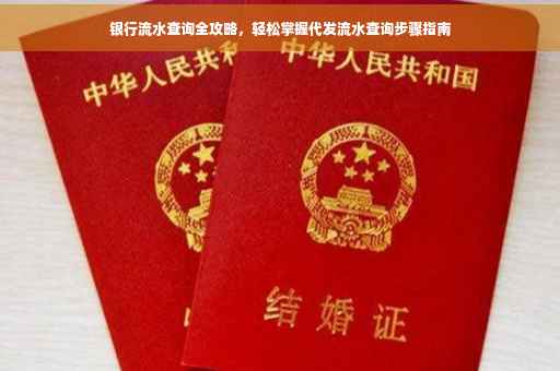 银行流水查询全攻略，轻松掌握代发流水查询步骤指南