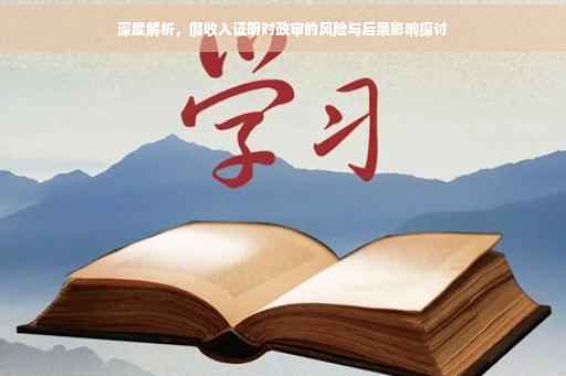 深度解析，假收入证明对政审的风险与后果影响探讨