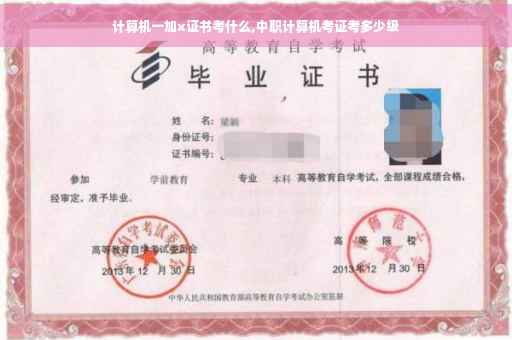 计算机一加x证书考什么,中职计算机考证考多少级