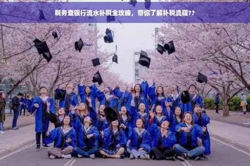 税务查银行流水补税全攻略，带你了解补税流程??