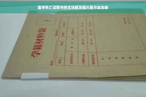 医学死亡证明书样式详解及图片展示全攻略