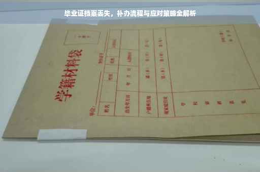 毕业证档案丢失，补办流程与应对策略全解析