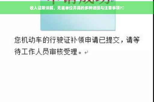 收入证明详解，无需单位开具的多种途径与注意事项?✨