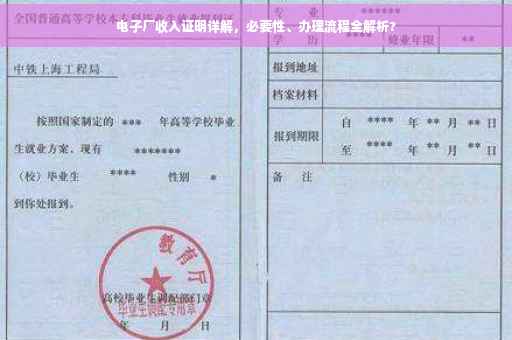 电子厂收入证明详解，必要性、办理流程全解析?