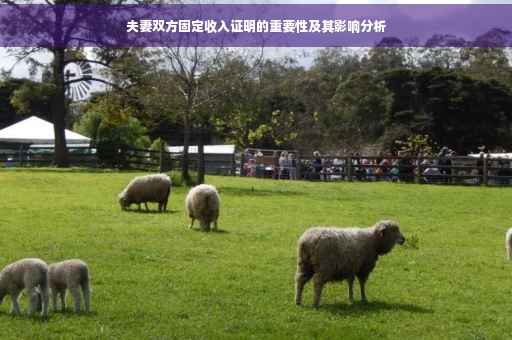 夫妻双方固定收入证明的重要性及其影响分析