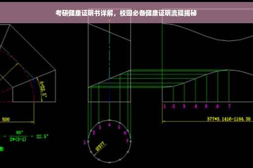 考研健康证明书详解，校园必备健康证明流程揭秘