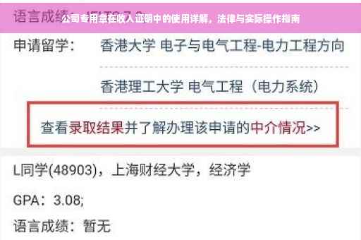 公司专用章在收入证明中的使用详解，法律与实际操作指南