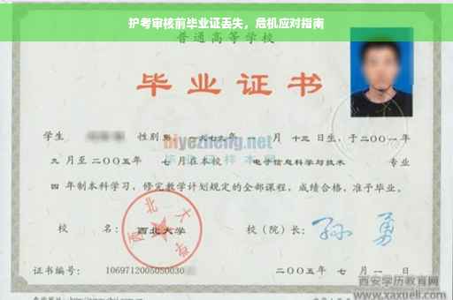 护考审核前毕业证丢失，危机应对指南