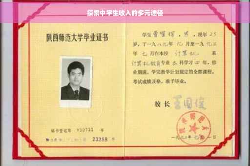 探索中学生收入的多元途径 探索中学生收入的多元途径