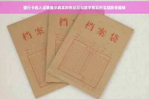 银行卡收入证明揭示真实财务状况与数字背后的深层故事揭秘
