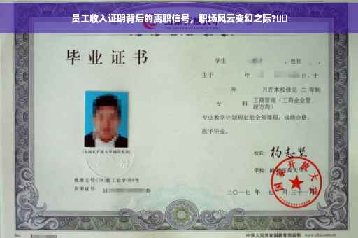 员工收入证明背后的离职信号，职场风云变幻之际?⚡️