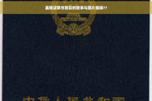 离婚证明书背后的故事与图片揭秘??