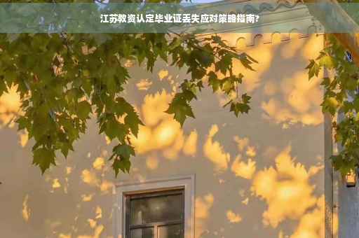 江苏教资认定毕业证丢失应对策略指南?