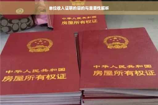 单位收入证明的目的与重要性解析