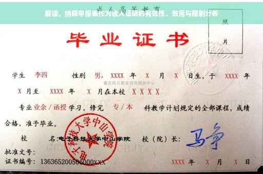 解读，纳税申报表作为收入证明的有效性、效用与限制分析