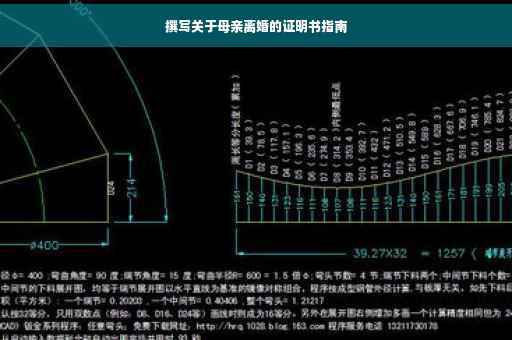 撰写关于母亲离婚的证明书指南