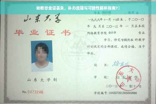 幼教毕业证丢失，补办流程与可能性解析指南?✨