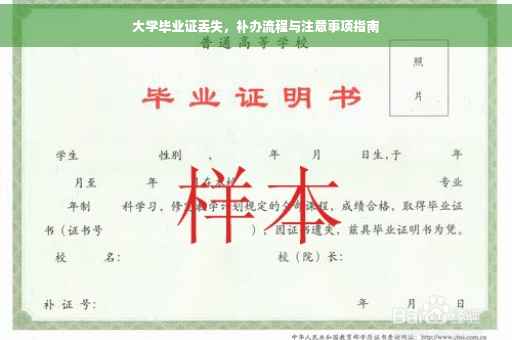 大学毕业证丢失，补办流程与注意事项指南