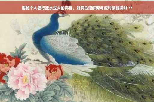 揭秘个人银行流水过大的真相，如何合理解释与应对策略探讨 ??