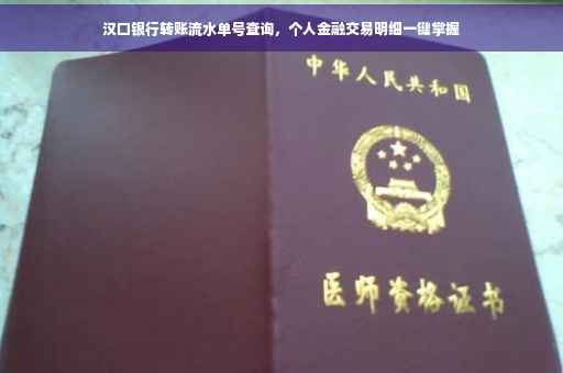汉口银行转账流水单号查询，个人金融交易明细一键掌握