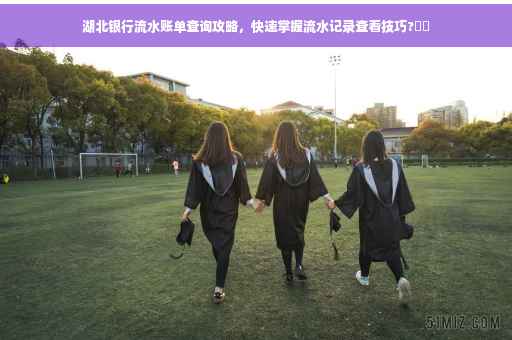 湖北银行流水账单查询攻略，快速掌握流水记录查看技巧?⚡️