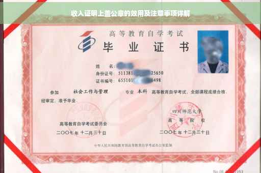 收入证明上盖公章的效用及注意事项详解