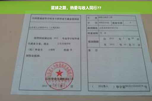 篮球之路，热爱与收入同行??