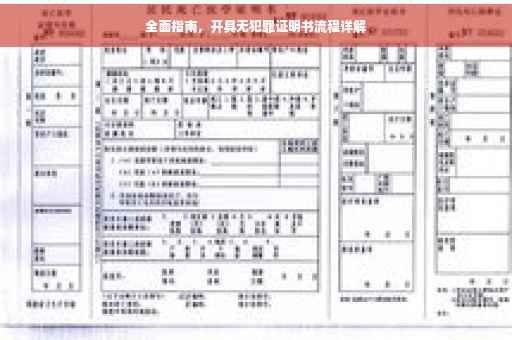 全面指南，开具无犯罪证明书流程详解
