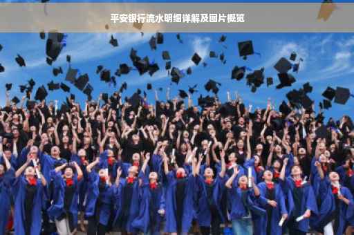 平安银行流水明细详解及图片概览
