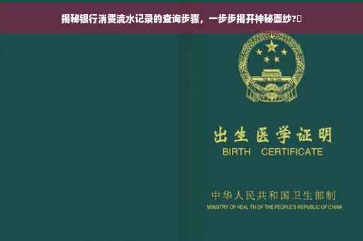 揭秘银行消费流水记录的查询步骤，一步步揭开神秘面纱?✨