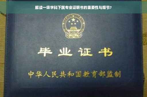 解读一级学科下属专业证明书的重要性与细节?
