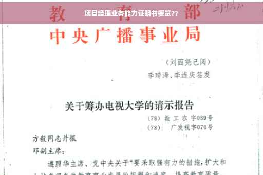 项目经理业务能力证明书概览??