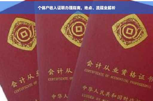 个体户收入证明办理指南，地点、流程全解析
